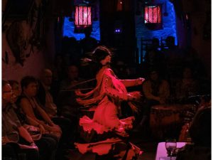 Espectaculo Flamenco + Copa + Transporte + Visita
