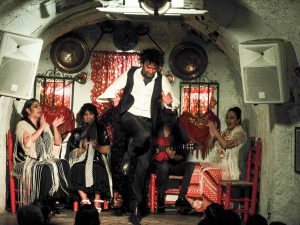 Espectaculo Flamenco + Cena + Transporte + Visita