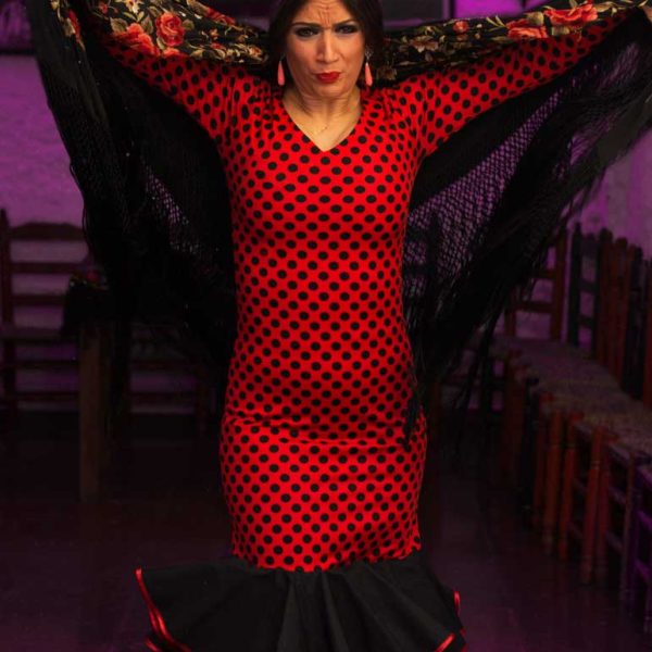 espectaculo-zambra-gitana